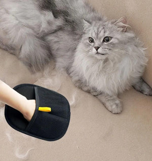 Pet Care
